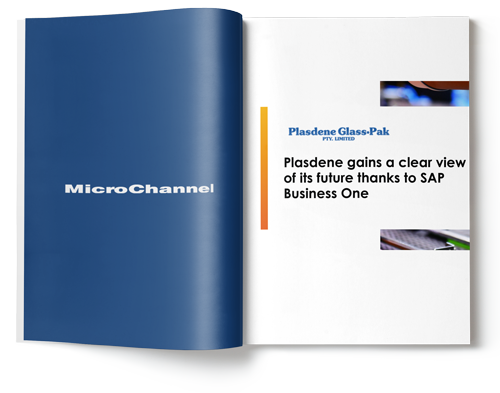 Plasdene Gains a Clear View of the Future with SAP Business One
