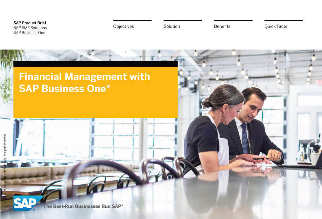 sap business one financial management